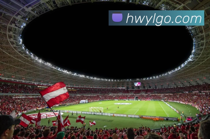 汇旺娱乐APP 封面图